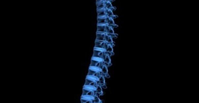 WAYS TO ACHEIVE A HEALTHIER SPINE image