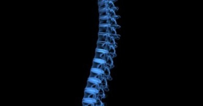 CHIROPRACTIC AN EFFECTIVE TREATMENT FOR SPINE PAIN image